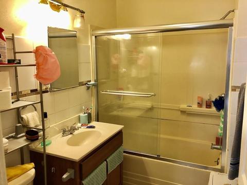 24 Van Horn Pl, Springfield, MA 01104 photo 5