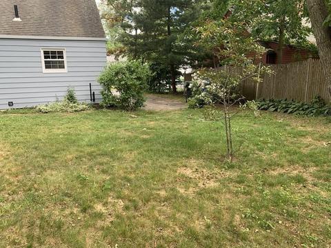 44 Arden St, Springfield, MA 01118 photo 32