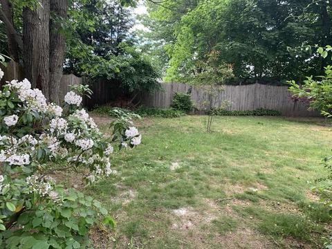 44 Arden St, Springfield, MA 01118 photo 30
