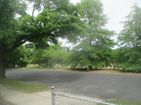 58 Glencoe St, Springfield, MA 01104 photo 19