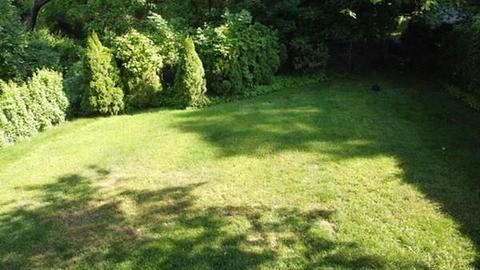 29 Longfellow Dr, Longmeadow, MA 01106 photo 4