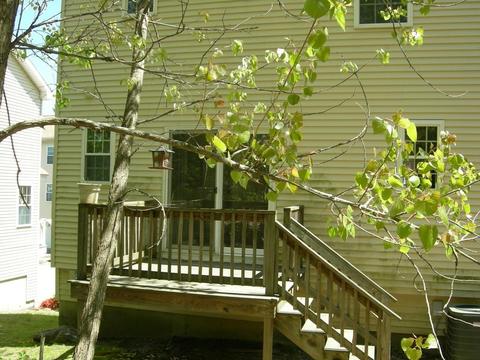 8 Beverly Cv, Worcester, MA 01604 photo 3