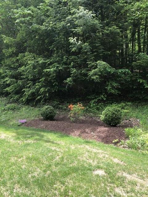349 March Rd, Ashfield, MA 01330 photo 37