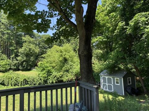 452 Maple Rd, Longmeadow, MA 01106 photo 5