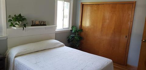 66 Pine Hill Rd, Springfield, MA 01118 photo 17