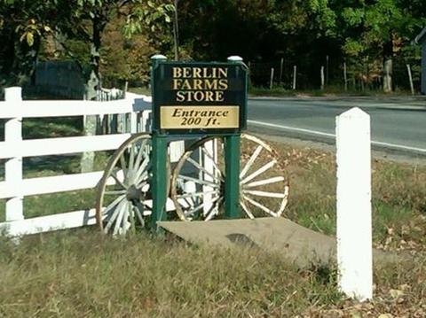 19 Gibbs Rd, Berlin, MA 01503 photo 4