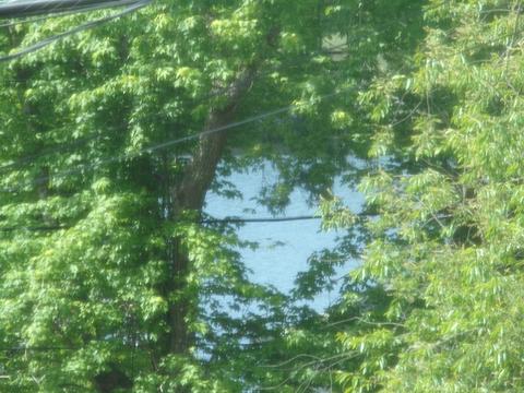 14 Rosepoint Ave, Wareham, MA 02576 photo 38