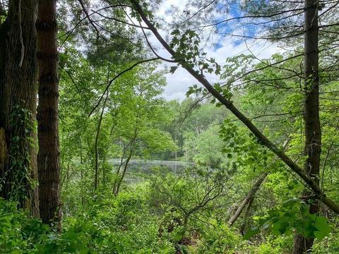 25 Farley Pond Ln, Needham, MA 02492 photo 33