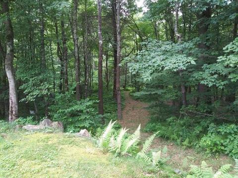 77 Old Gilbertville Rd, Ware, MA 01082 photo 40