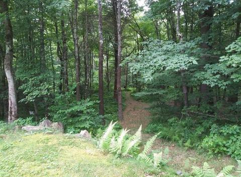 77 Old Gilbertville Rd, Ware, MA 01082 photo 38