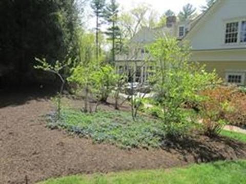 124 Dover Rd, Wellesley, MA 02482 photo 23