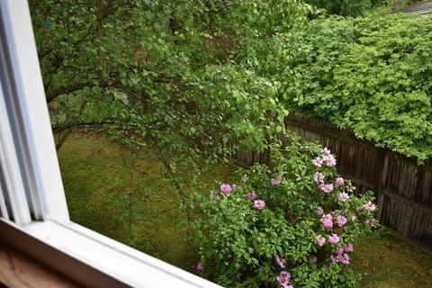 72 Strong St, Easthampton, MA 01027 photo 26