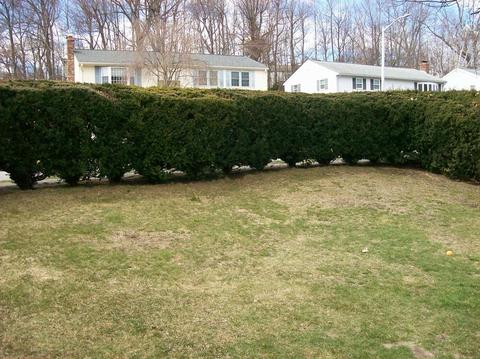 70 Venus Dr, Worcester, MA 01605 photo 8