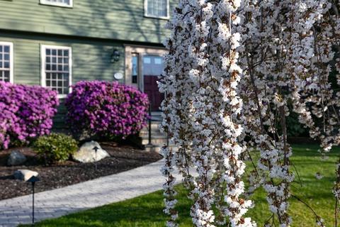 3 Trodden Path, Lexington, MA 02421 photo 35