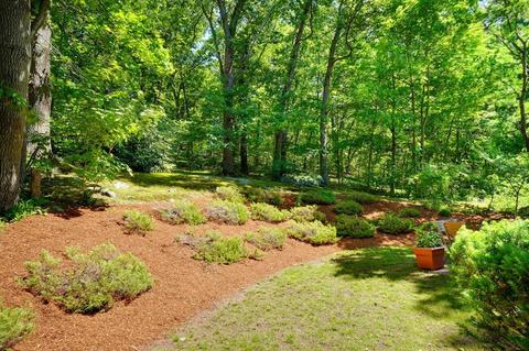 18 Brookside Ave, Lexington, MA 02421 photo 3