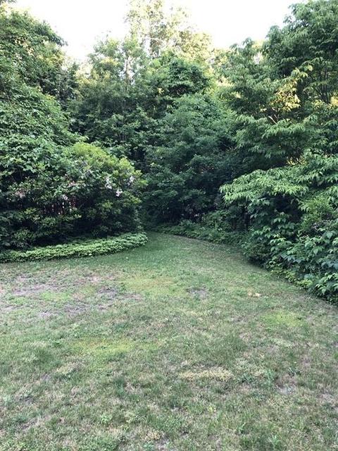 116 Newton Rd, Springfield, MA 01118 photo 5