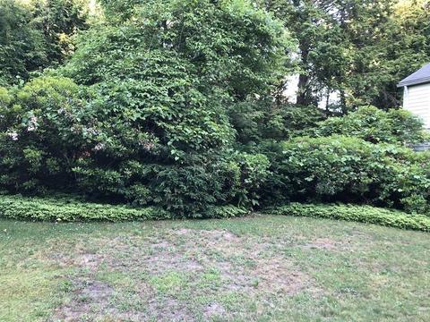 116 Newton Rd, Springfield, MA 01118 photo 7