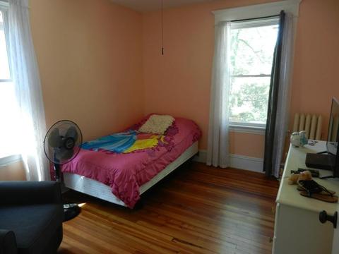 44 Howes St, Springfield, MA 01118 photo 12
