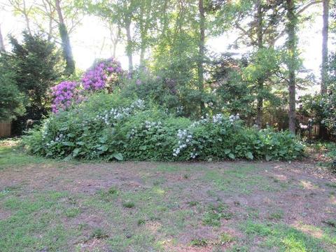 63 Knotty Pine Ln, Barnstable, MA 02632 photo 28