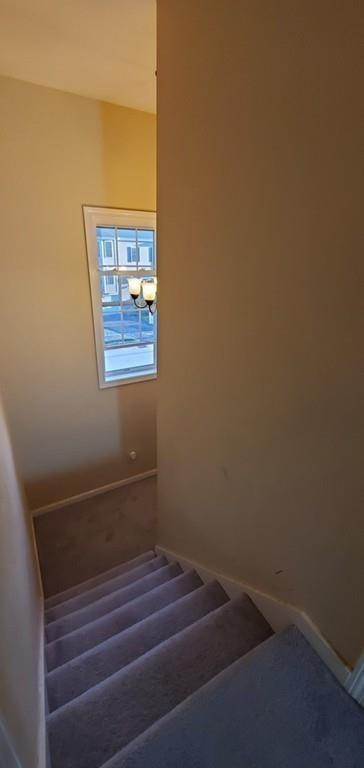 6 Lilac Ln, Worcester, MA 01607 photo 8