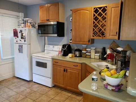 11 Ferdinand St, Worcester, MA 01603 photo 24