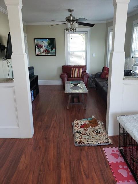 11 Ferdinand St, Worcester, MA 01603 photo 13