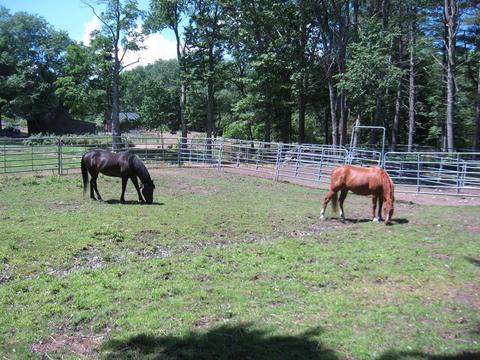 229 White Pond Rd, Athol, MA 01331 photo 7