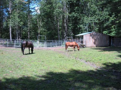229 White Pond Rd, Athol, MA 01331 photo 6