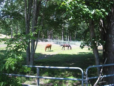229 White Pond Rd, Athol, MA 01331 photo 42