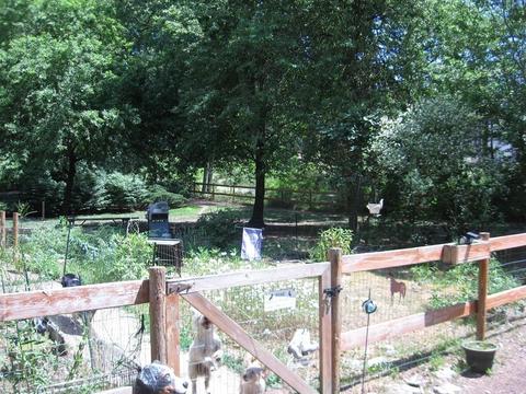 229 White Pond Rd, Athol, MA 01331 photo 38