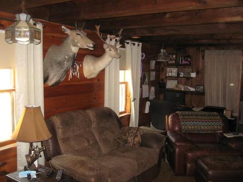 229 White Pond Rd, Athol, MA 01331 photo 16