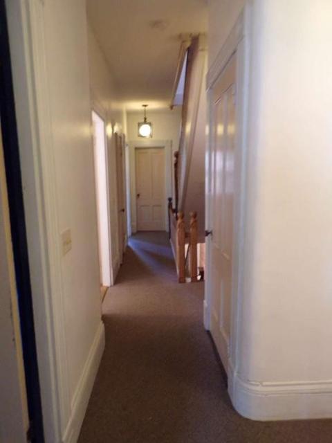 11 Mattoon St, Springfield, MA 01105 photo 26