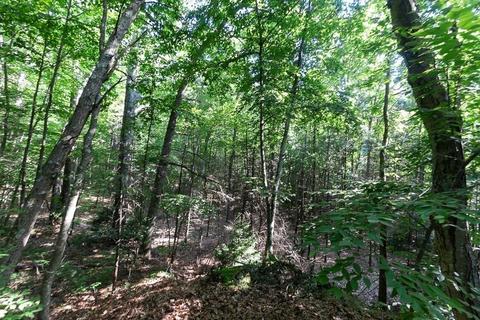 88 Whitins Rd, Sutton, MA 01590 photo 21