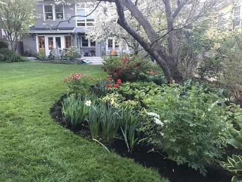 35 Allerton St, Brookline, MA 02445 photo 22