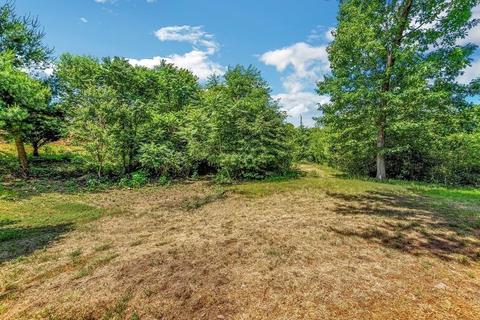 800 Plumtree Rd, Springfield, MA 01118 photo 7