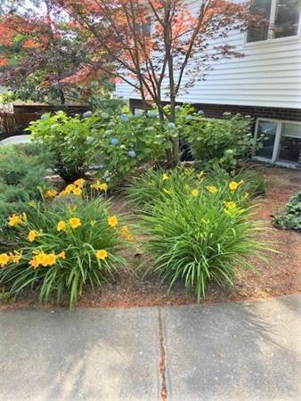 6 David Cir, Walpole, MA 02081 photo 3