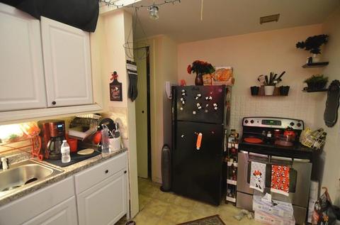 12 Channing St, Worcester, MA 01605 photo 19