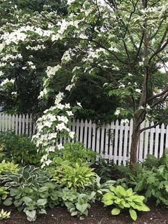 537 Chestnut St, Needham, MA 02492 photo 37