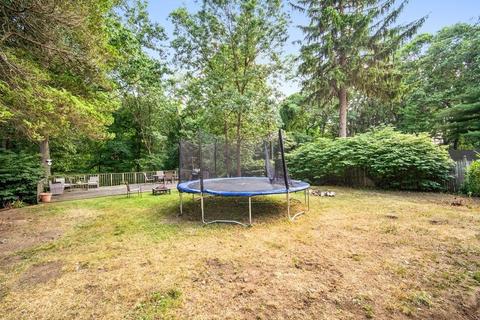 43 Emmet St, Springfield, MA 01119 photo 22