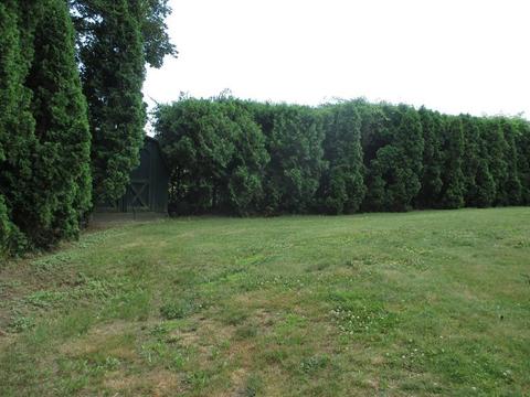 21 Vincent St, Fall River, MA 02720 photo 5