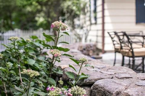 8 Sumner Rd, Wellesley, MA 02481 photo 42