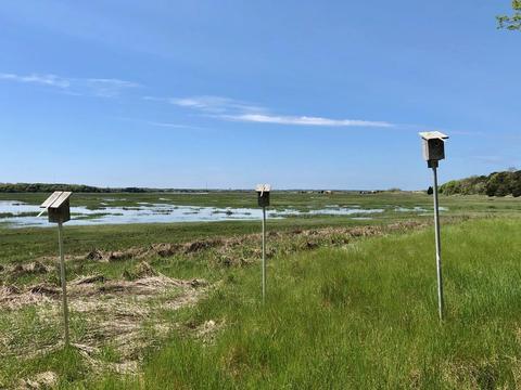 1405 Samoset Rd, Eastham, MA 02642 photo 17