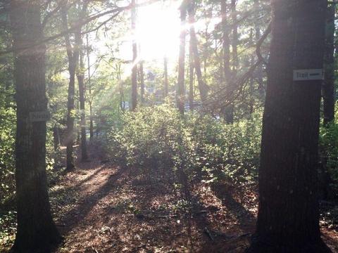 171 County Rd, Bourne, MA 02532 photo 27