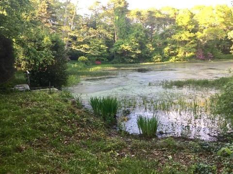 171 County Rd, Bourne, MA 02532 photo 21