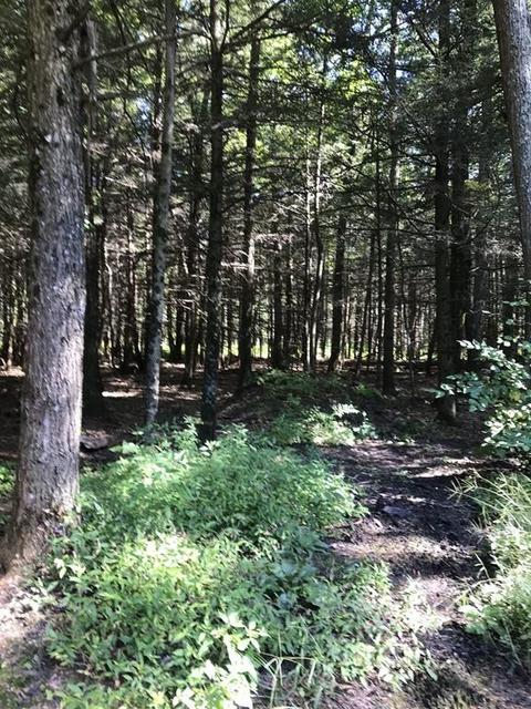 2813 Greenwich Rd, Hardwick, MA 01037 photo 39