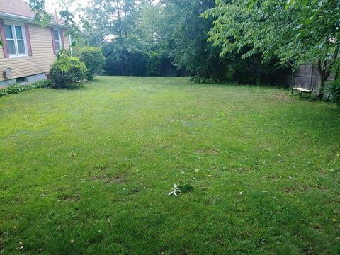 95 Randall St, Worcester, MA 01606 photo 20