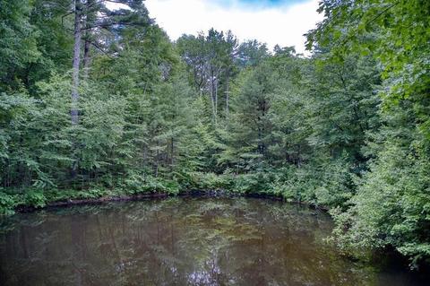 4 Graniteview Ln, Harvard, MA 01451 photo 34