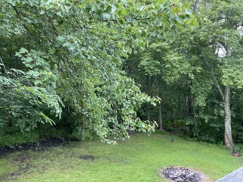 8 Dutton Rd, Pelham, NH 03076 photo 26