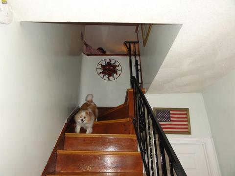 3 Laurel St, Everett, MA 02149 photo 9