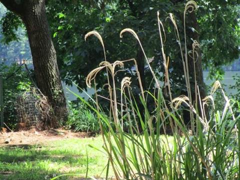 120 Barton Rd, Stow, MA 01775 photo 7